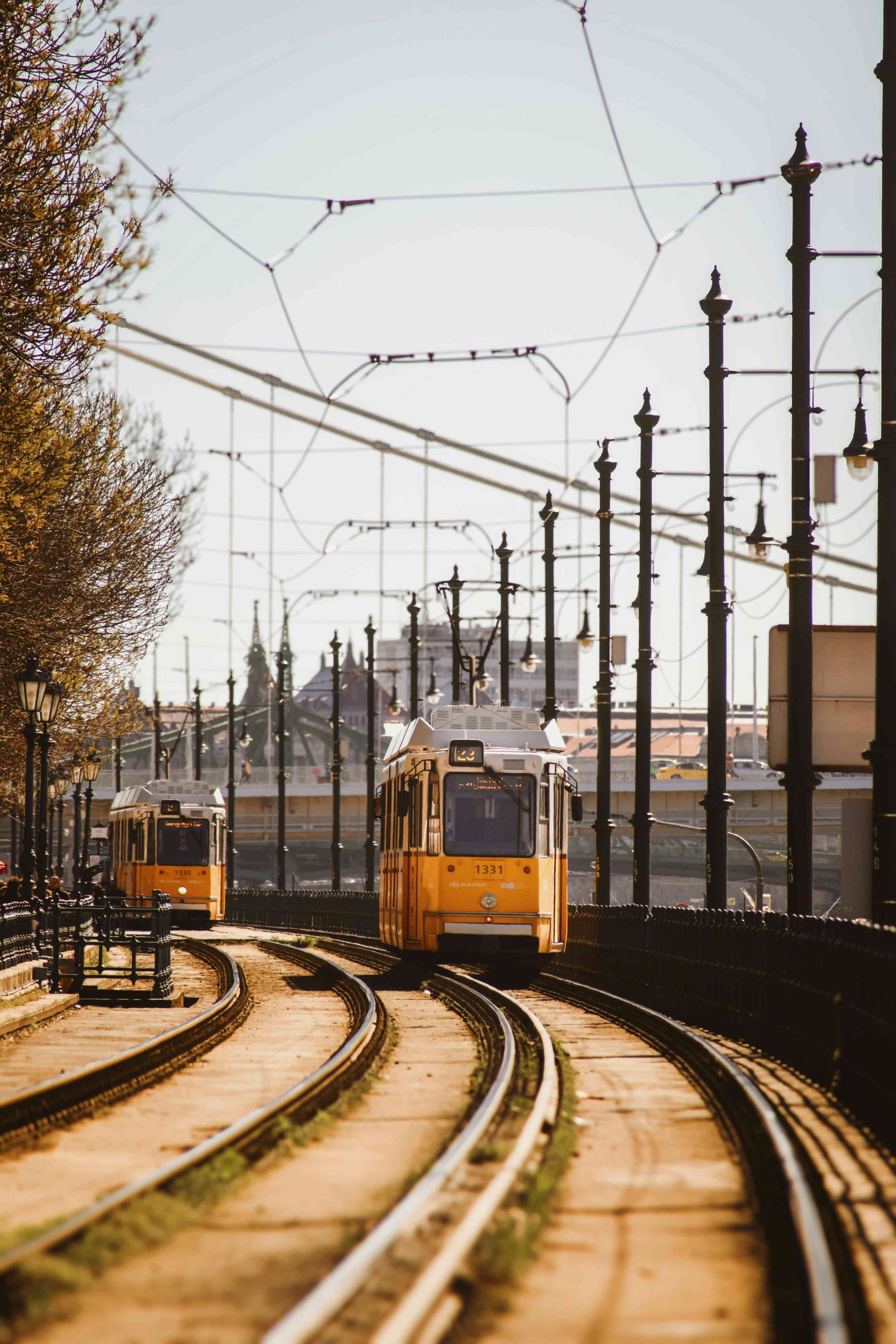 世界，您好！